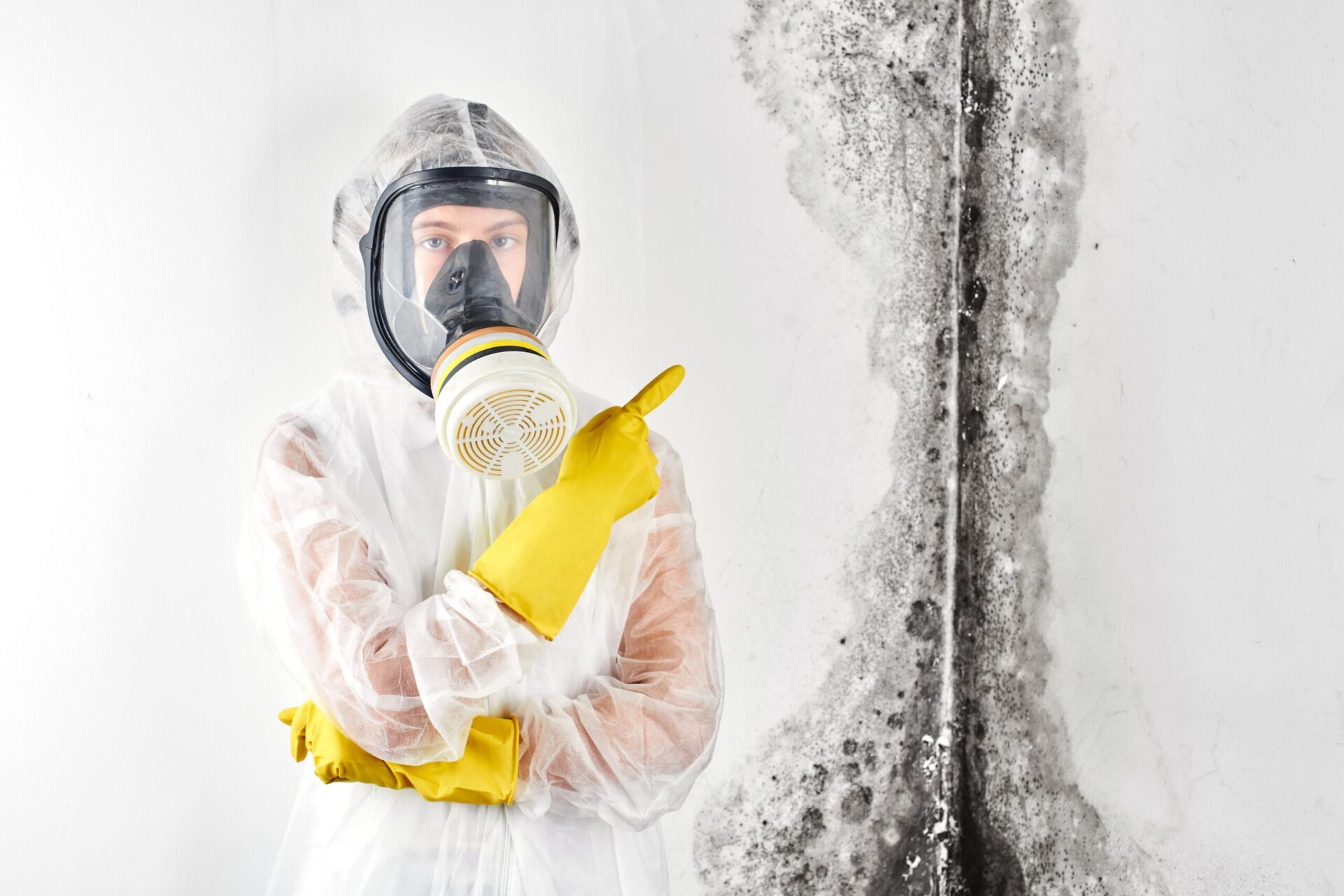 Mould inspection methods 